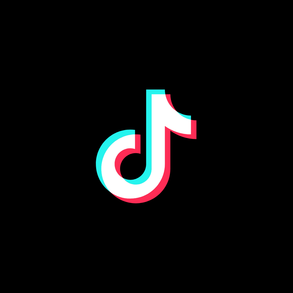TikTok Icon